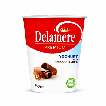 DELAMERE PREM FRUIT YOGHURT CHOC 250ML