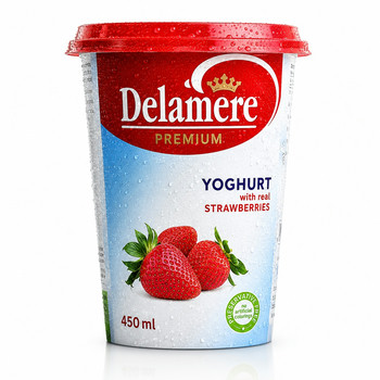 DELAMERE PREM FRUIT YOGHURT S/BERRY 450ML