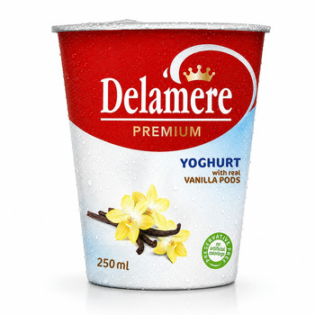 DELAMERE PREM FRUIT YOGHURT VANILLA 250ML