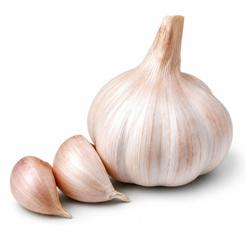 GROCERY GARLIC 1PC