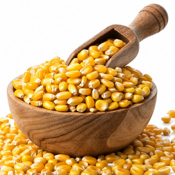 LOCAL IMPORTED POPCORNS 1KG